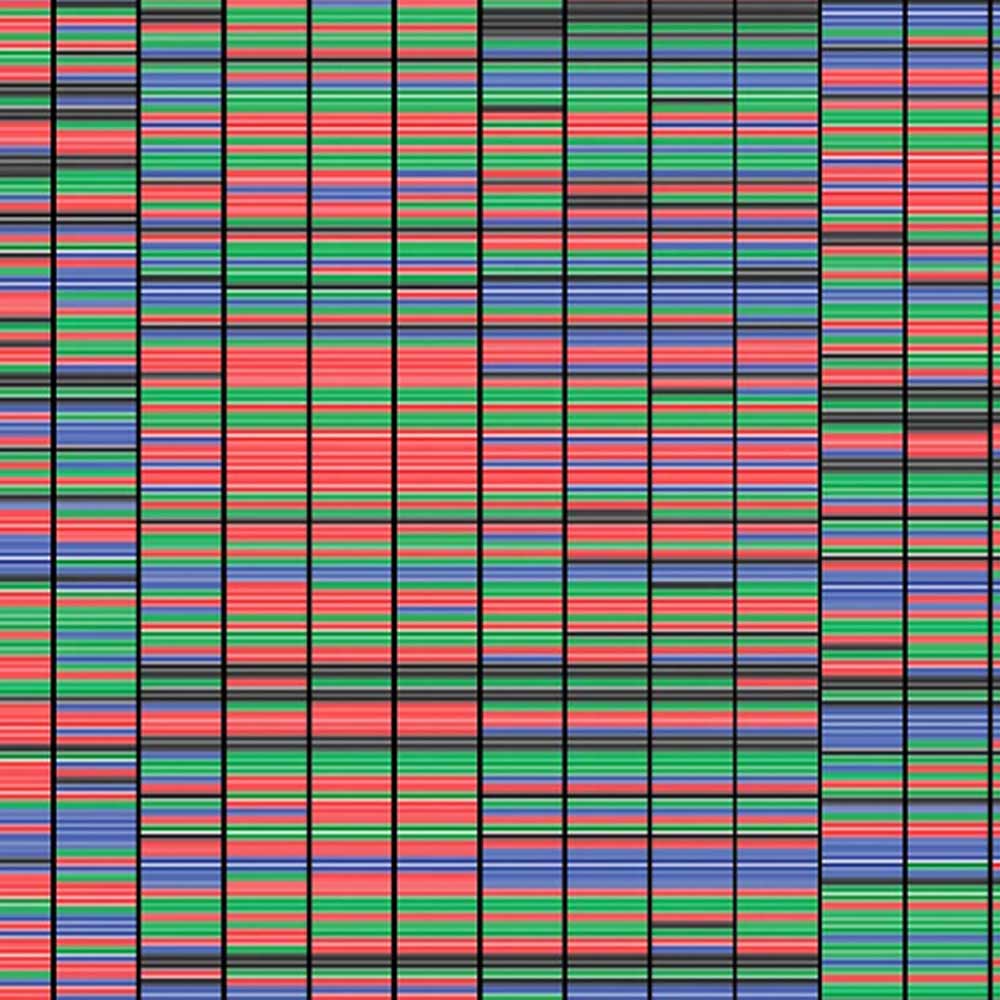 A image of DNA sequencing looks like a grid made up of thousands of narrow rectangles in four different colours.