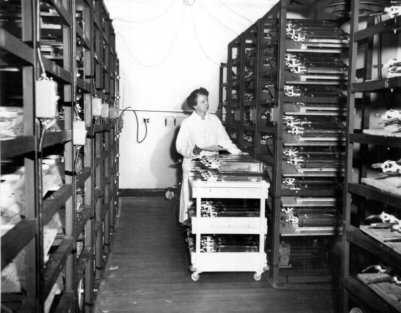 Leone N. Farrell, in a lab coat, pushes a cart between tall metal shelves. Contents of cart and shelves are unidentifiable.